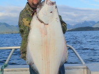 halibut