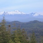 Dall Sheep Hunting the Brooks Range in Alaska
