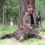 Idaho Black Bear Hunt Guided