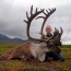 Alaska Brooks Range Unguided Caribou Hunts