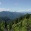 Background for Western States Page