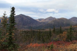 Alaska Page Background