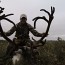Alaska Brooks Range Unguided Caribou Hunts