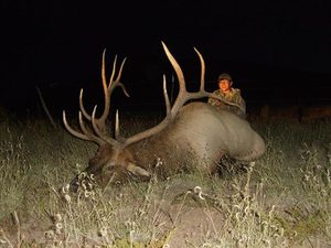 Elk Shed Hunting