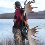 Alaska Moose Hunting Guide