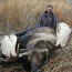 Alaska Unguided Moose Hunt Charter