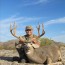 Mule Deer Hunts