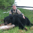 Alaska Unguided Black Bear Hunt