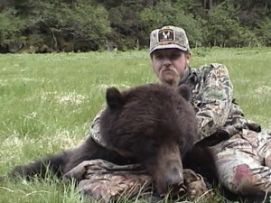 Bear