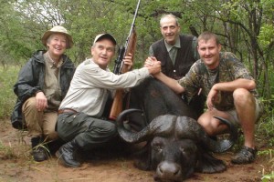cape buffalo3