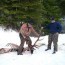 Idaho Wolf Hunt