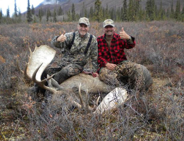 moose2
