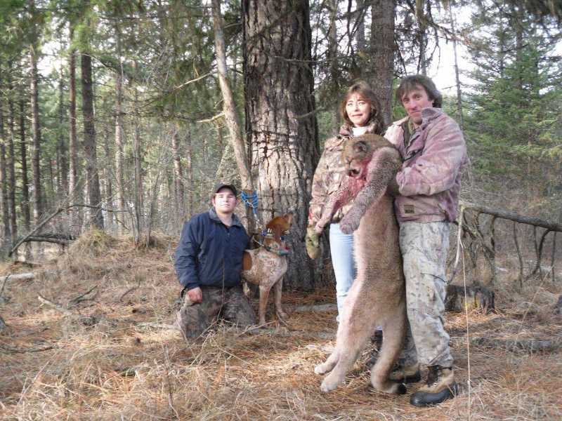 archery mountain lion hunt