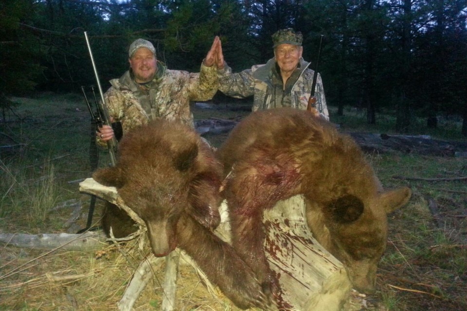 color phase bear outfitter