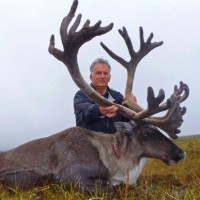 800caribou3