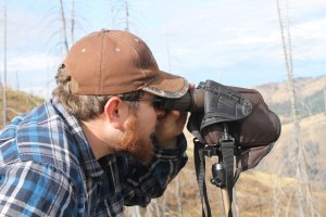 mule deer hunting in Idaho