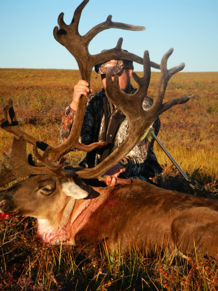 caribou3