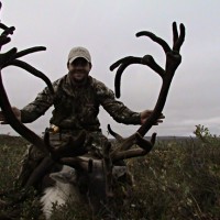 caribou5