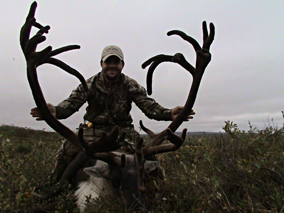 caribou5