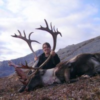 caribou6