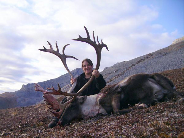 caribou6