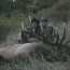 Idaho Private Ranch Elk Hunt