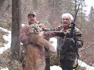 Mountain Lion Hunting with Hounds