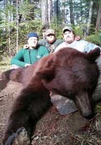 color phase black bear hunt