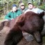 color phase black bear hunt